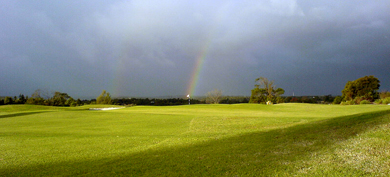 DSC00102.jpg