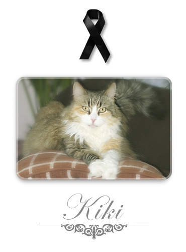 kiki_rip.jpg