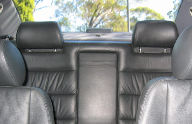 leathertrim.jpg